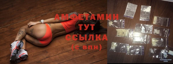шишки Балабаново