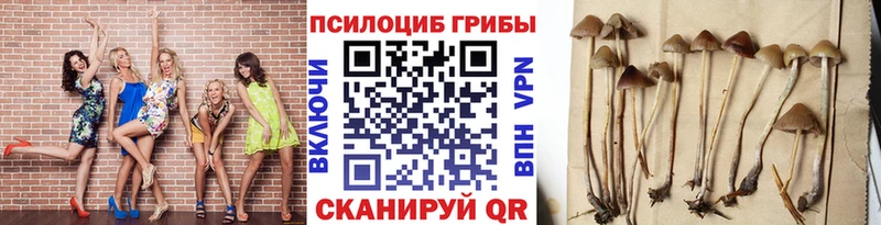 где продают   blacksprut   Галлюциногенные грибы мухоморы  Георгиевск 